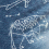 Starry(スターリー)
